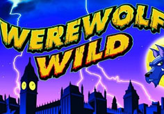 Werewolf Wild Slot