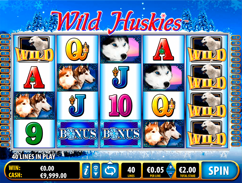 Wild Huskies Slot Review