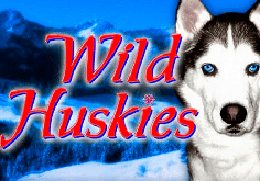 Wild Huskies Slot