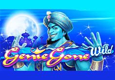 Genie Gone Wild Slot
